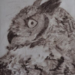 Horned Owl, Drypoint