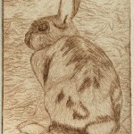 Bunny (drypoint)