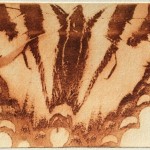 Butterfly (solar plate etching)